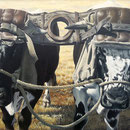 Boeufs au grand joug - Acrylique sur toile - 1994<br><br>Peinture . peintre animalier . artiste peintre . peinture animalière . animal . boeufs vosgiens . attelage