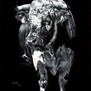 Brut - Crayon pastel blanc, acrylique blanche sur cartoline noire - 50 x 70 cm - 2020<br><br>Peinture vache . taureau vosgien . toile . peinture animalière . peintre animalier . race vosgienne