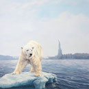 One last chance (*Le rendez-vous de la dernière chance) - Acrylique sur toile - 1 x 1 m - 2010 - Prix spécial du Jury Salon de Peinture de Vittel (88) <br><br>Peinture . artiste peintre . peinture animalière . ours polaire . banquise . baie hudson