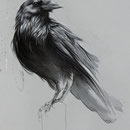 Black Intelligence - Technique mixte sur papier - 50 x 70 cm - 2018<br><br>Illustration . dessin . animalier . animal . faune sauvage . corbeau