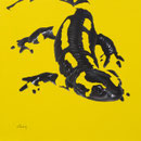 Salamandre - Acrylique sur bois - Polyptique - 50 x 50 cm <br><br>Peinture . peintre animalier . artiste peintre . peinture animalière . animal . peinture bicolore