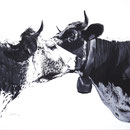 Confidences - Acrylique sur toile - 80 x 100 cm - 2019<br><br>Peinture vache . vache vosgienne . toile . peinture animalière . peintre animalier . race vosgienne