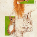 Ecureuil - Acrylique sur toile - 0,40 x 1,20 m - 2012<br><br>Peinture . peintre animalier . artiste peintre . peinture animalière . animal