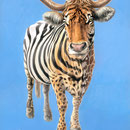 Vachement métissée - Acrylique sur papier - 20 x 30 cm - Visuel affiche Festival International de Sculpture Camille Claudel 2006<br><br>Peinture . peintre animalier . artiste peintre . peinture animalière . animal