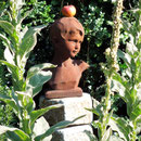 Heilpflanzen im Praxisgarten © Stefan Simon Kastl