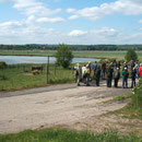 Am Salziger See bei Eisleben erleben zahlreiche Teilnehmer erstmals Rohrdommeln und Bienenfresser in freier Natur. 05/2014