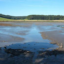 Durch Unterspülung der Ablaufsperre lief im August 2012 der Sangweiher innerhalb eines Tages völlig leer.