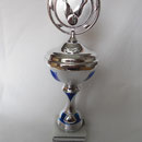Pokal