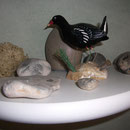 La poule d'eau