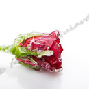 Vereiste-Rose Nr.0030