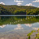 Plitvicer Seen Nr.0679