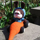HASI auf Tour - Der Hase
