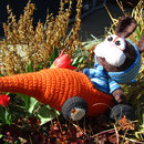 HASI auf Tour - Der Hase