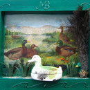 FRÜHLING - Enten am Wasser / 30 x 37 x 2,5 cm / nicht verfügbar