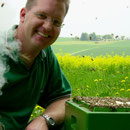 Sanftmut der Bienen, ne tolle Sache