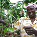 fair trade koffieboerin Tanzania