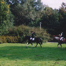 Ponyquadrille auf der Sommerblumenwiese 2001