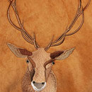 Hirsch