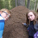 Natur pur
