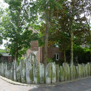 Walfischgebisse