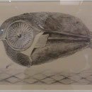 Max Ernst,  Musée d'Art Moderne, Strasbourg
