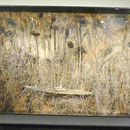 Anselm Kiefer,  Musée des Beaux-Arts, Montreal, Kanada
