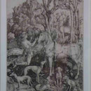 Albrecht Dürer, Musée d'Art Moderne, Strasbourg