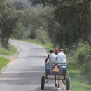 Verkehrsmittel, Landesinnere, Weg nach Tamera