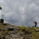 Kurz vor dem Gipfel Großer Falkenstein 1315 m