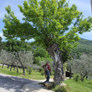 Mittagsplatz bei San Diamo