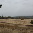 Sand im Herbstwald