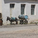 Esel m. Wasserwagen in Bayanling