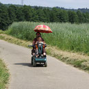 Familienspaziergang