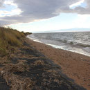 Strand am Gusinoje