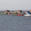 Hafen, Carrasqueira