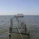weg zur Aussichtsplattform, Carrasqueira