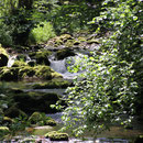 sprudelnde Eyach