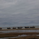 gestrandete Fischerboote