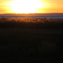 Sonnenuntergang am Baikal