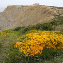Küste, Cabo Espichel