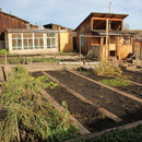 Garten von Regina und Alex