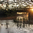 Sonnenaufgang am Staffelsee