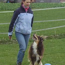 Balu übt das Quadrat in Obedience 3
