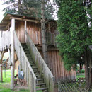 Baumhaus mit Rundhölzern und Verschalung aus Lärche