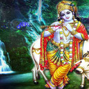 Lord Krishna