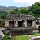 Die Ruinen von Palenque.