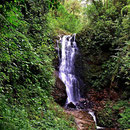 Ein Wasserfall. Auch ansonsten gluckert es überall.
