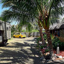 Unser Stellplatz am Restaurant von Gringo on the beach.
