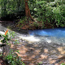 Der Rio Celeste. Vorher wasserklar, nachher schön blau gefärbt - eine scharfe Trennlinie.