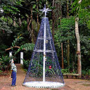 Ein typischer kolumbianischer Weihnachtsbaum in einem Park in San Gil.
